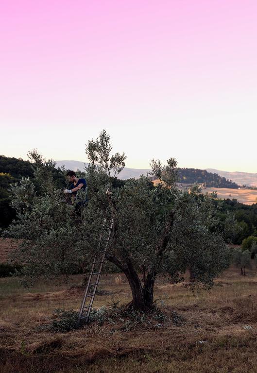 Villa Fonteintanata Miemo Εξωτερικό φωτογραφία